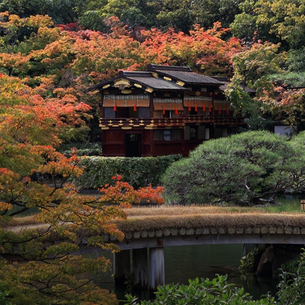 攻略》神戶景點旅遊 2025！神戶自由行必玩景點/夜景美食住宿推薦
