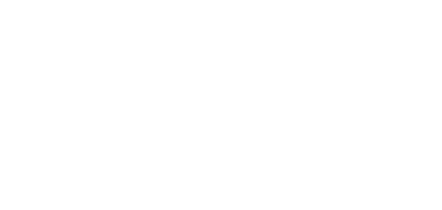 bg spark