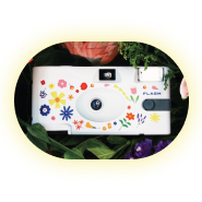 magnifier icon