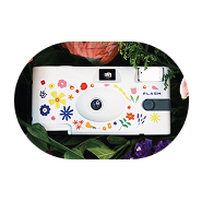 magnifier icon