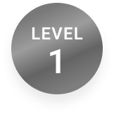 level 1