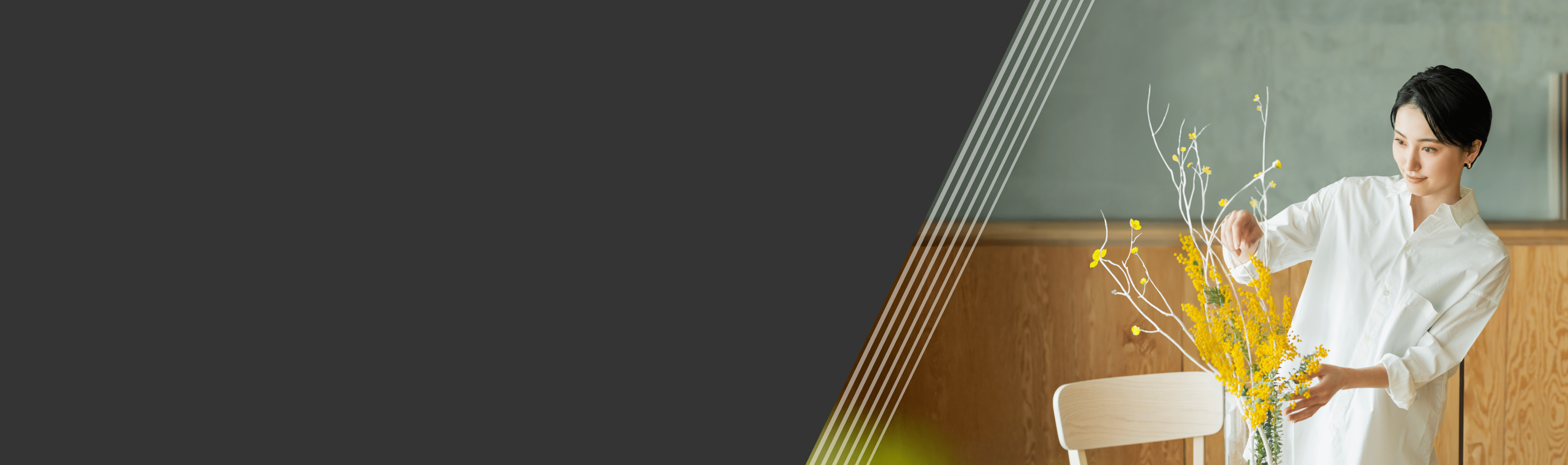 promotion banner