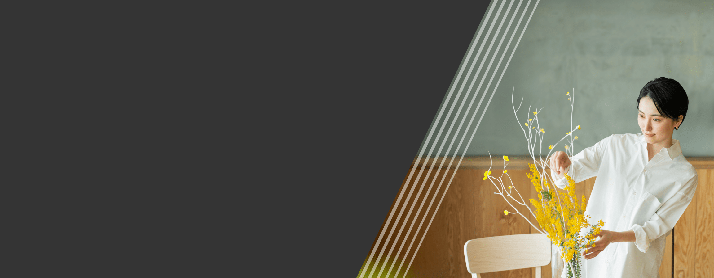 promotion banner