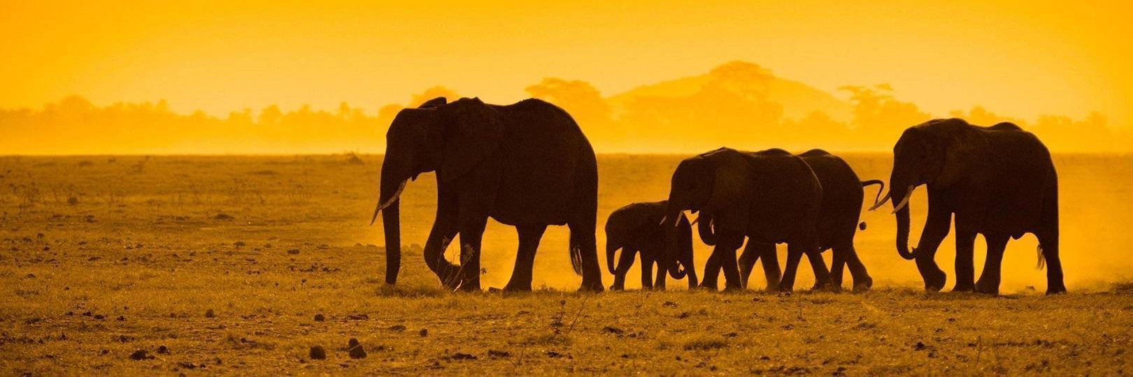 皇家國際運通刷賓士卡，享最高3%回饋，指定行程再折2千元