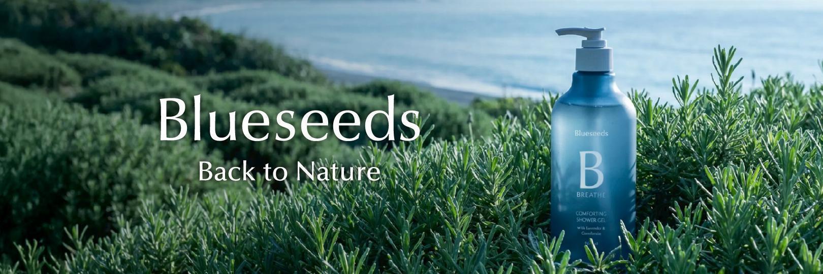 Blueseeds刷台新享8折，滿額再折200元